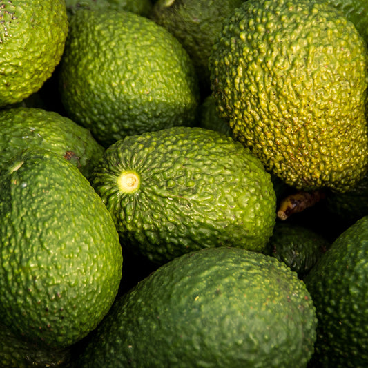 Hass Avocados - 2kg (6-8 pieces)